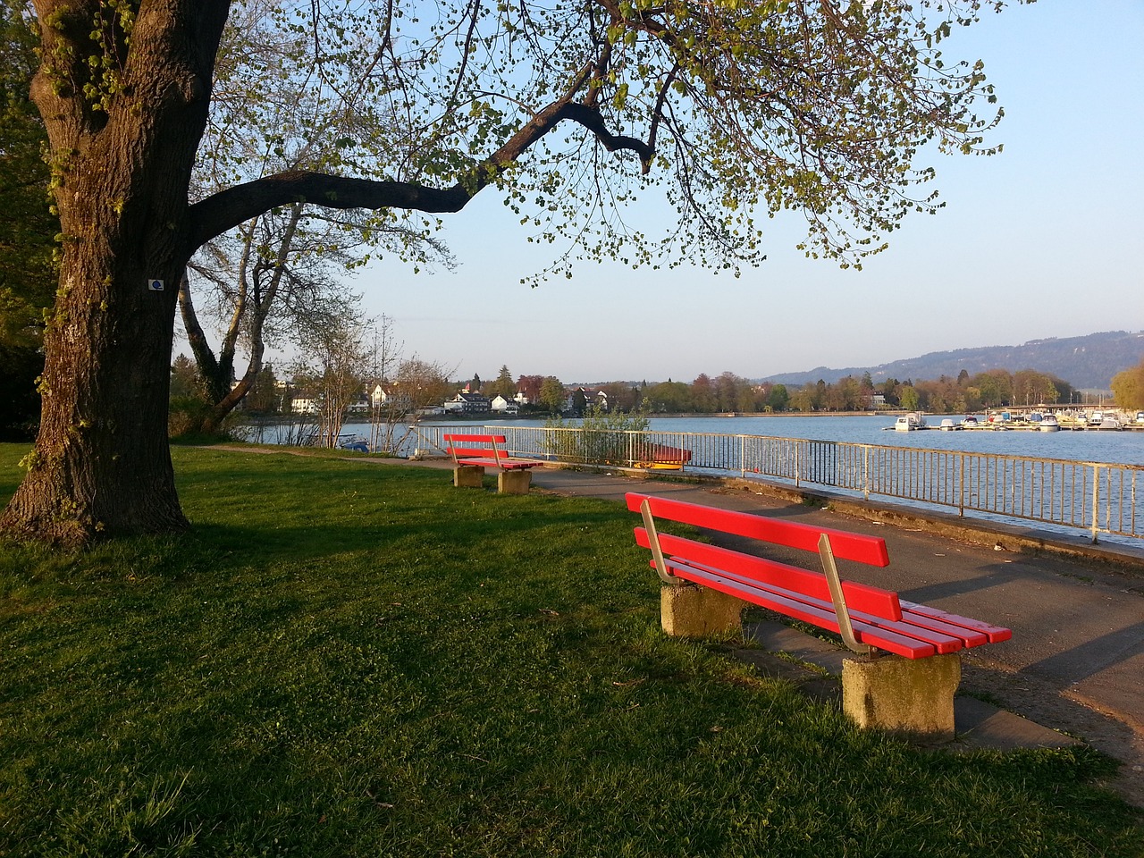 排使球隊在 排使球隊在