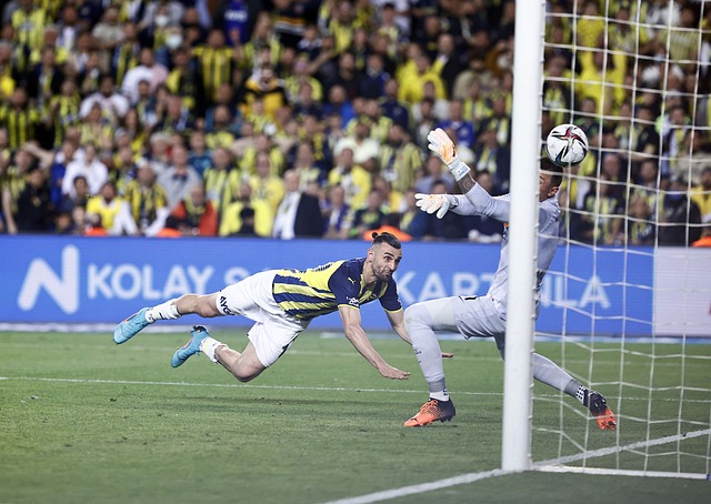 王杯在西班 王杯在西班