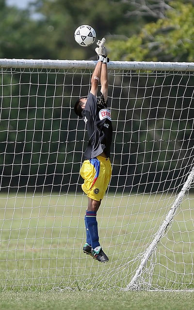 的背景和影 的背景和影